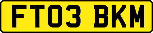 FT03BKM