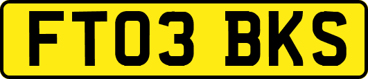 FT03BKS
