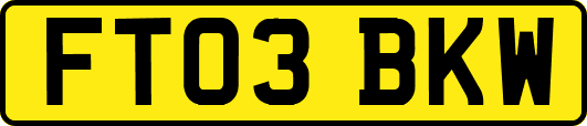 FT03BKW