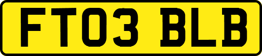 FT03BLB