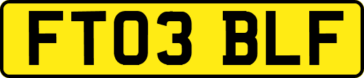 FT03BLF