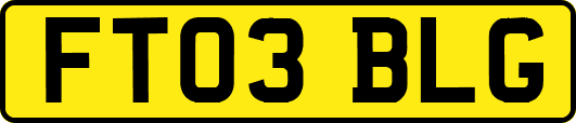 FT03BLG