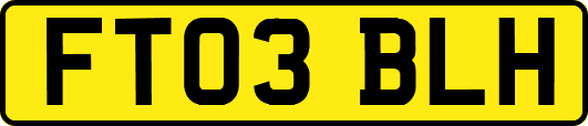 FT03BLH