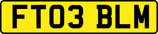 FT03BLM