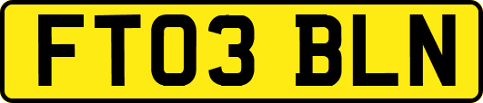 FT03BLN