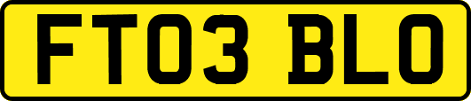 FT03BLO