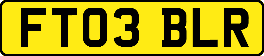 FT03BLR