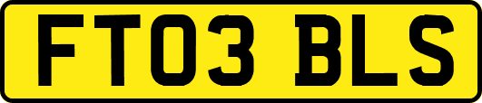 FT03BLS