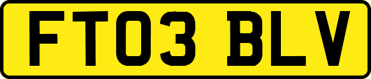 FT03BLV