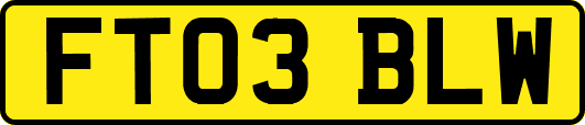 FT03BLW