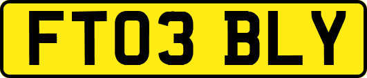 FT03BLY
