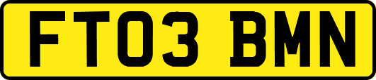 FT03BMN