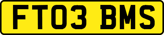 FT03BMS