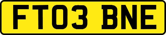 FT03BNE