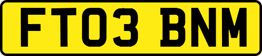 FT03BNM