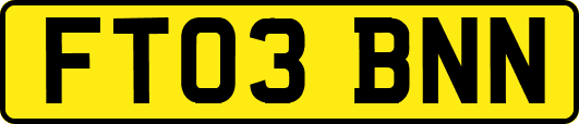 FT03BNN