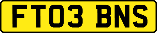 FT03BNS