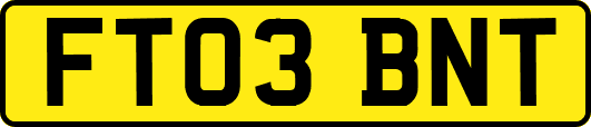 FT03BNT