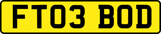 FT03BOD