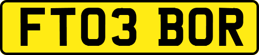 FT03BOR