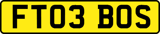 FT03BOS