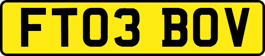 FT03BOV