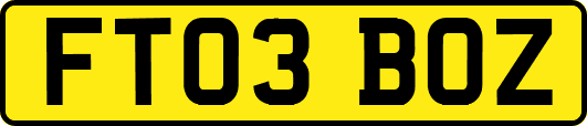 FT03BOZ