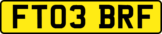 FT03BRF