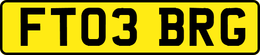 FT03BRG