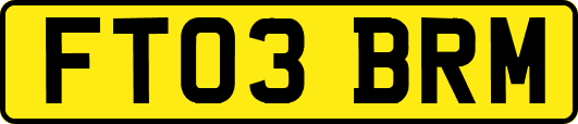 FT03BRM