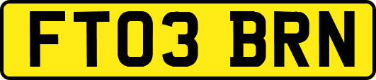 FT03BRN