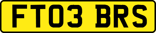 FT03BRS