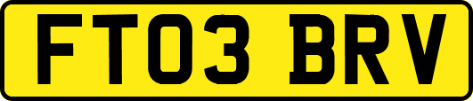 FT03BRV