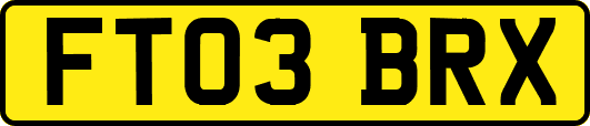 FT03BRX