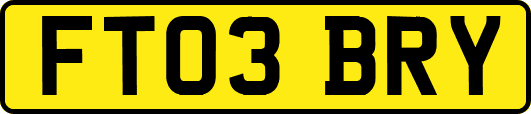 FT03BRY