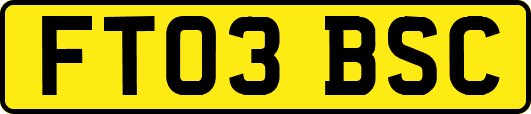 FT03BSC