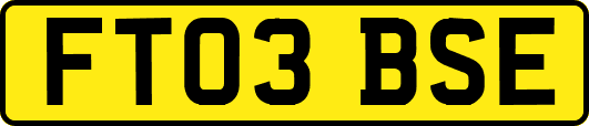 FT03BSE