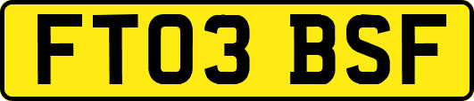 FT03BSF