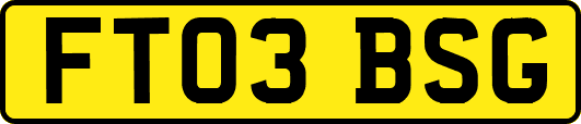 FT03BSG