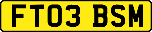 FT03BSM