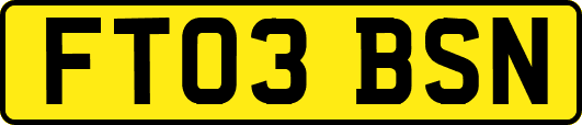 FT03BSN