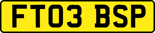 FT03BSP