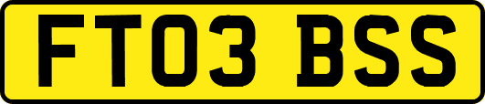 FT03BSS