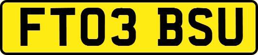 FT03BSU