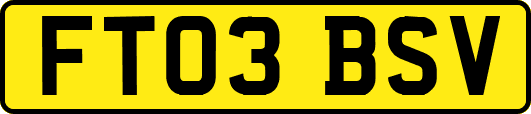 FT03BSV