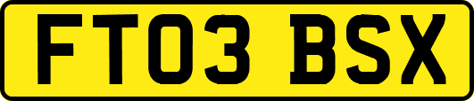FT03BSX