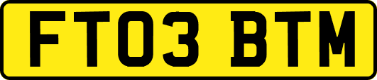 FT03BTM