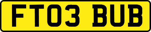 FT03BUB
