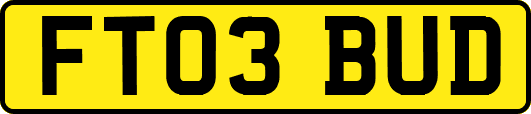FT03BUD