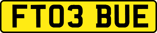 FT03BUE